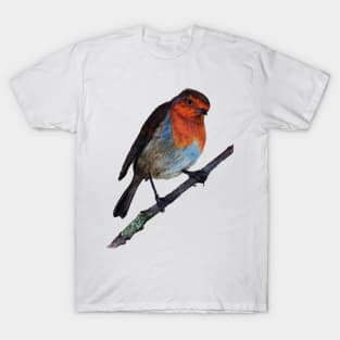 Robin Redbreast Coloured Pencil Drawing T-Shirt